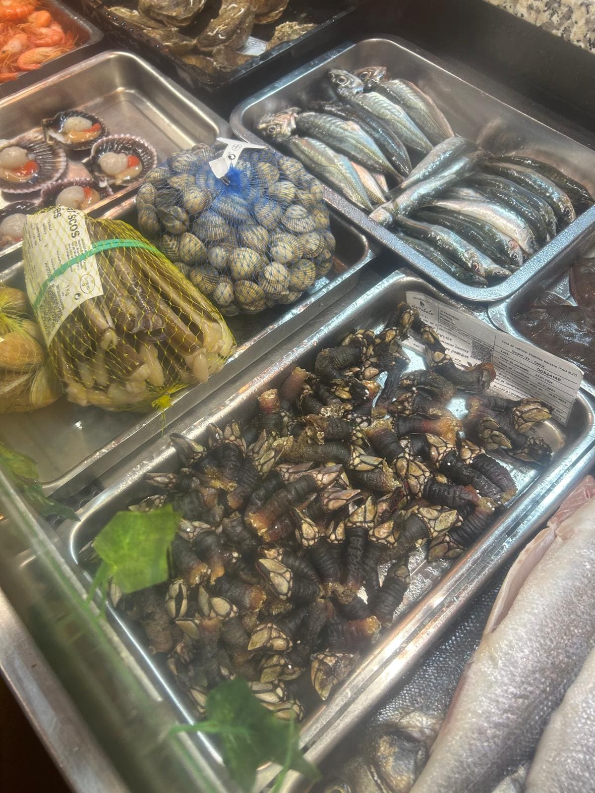 Caracoles/almejas en salsa